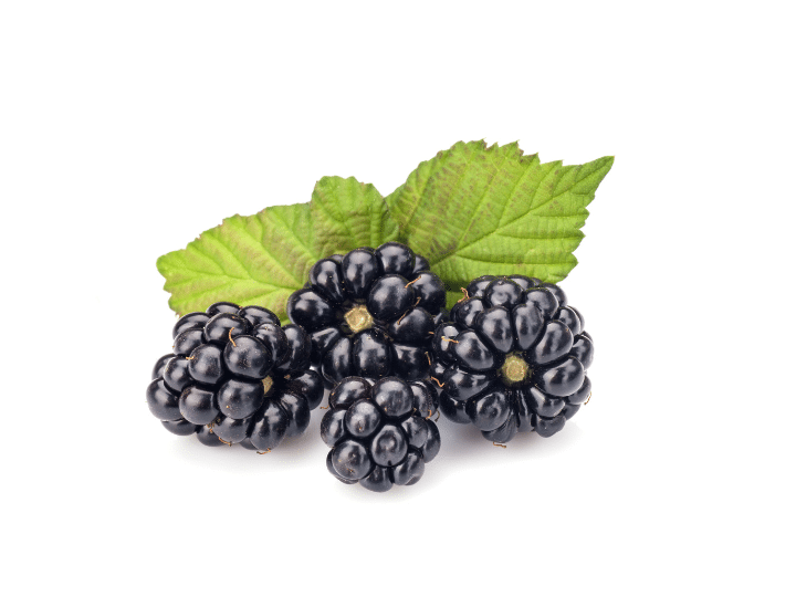 Four blackberries.
